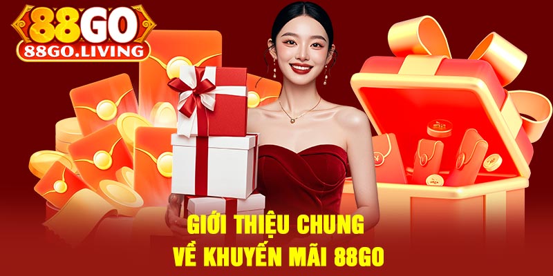 Giới Thiệu Chung Về Khuyến Mãi 88Go