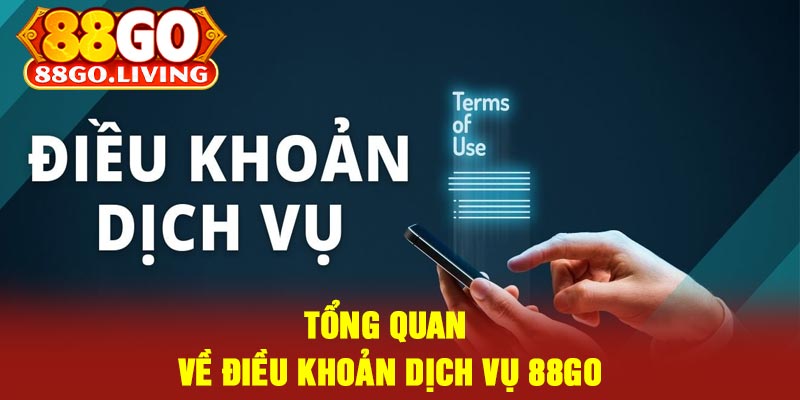 Tổng Quan Về Điều Khoản Dịch Vụ 88Go
