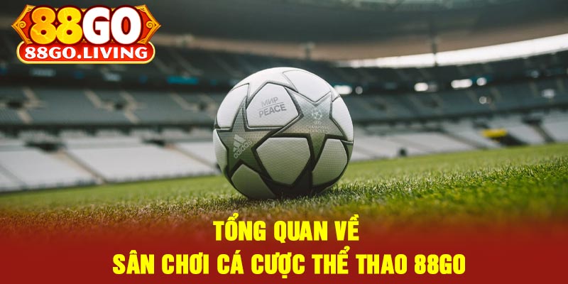 Tổng Quan Về Sân Chơi Cá Cược Thể Thao 88Go